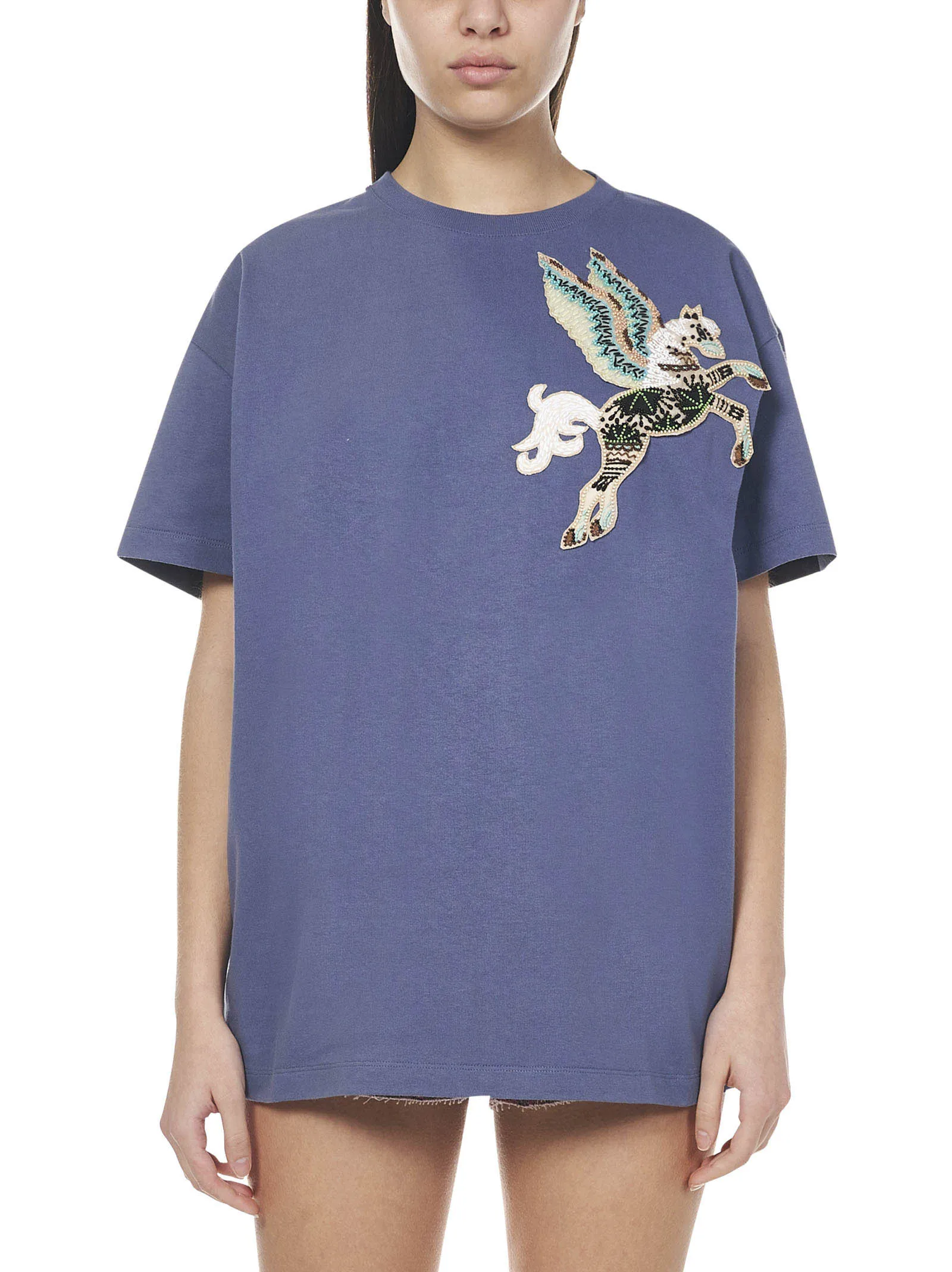 Etro Motif Embroidered Crewneck T-Shirt