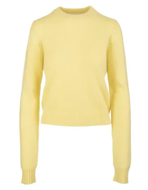 Sportmax Agitare Crewneck Knit Jumper